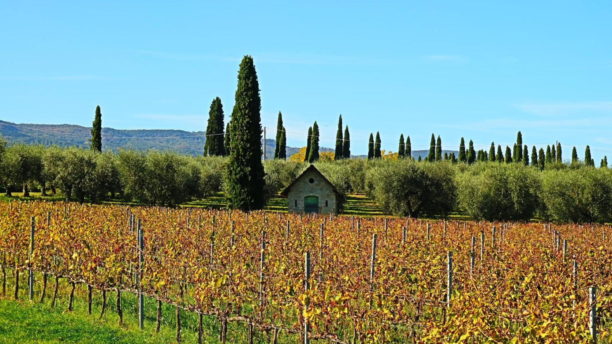 Agriturismo La Sovana Sarteano Exterior photo